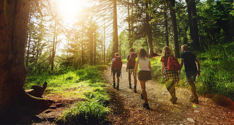 Team-building in the Ardennes with overnight stays